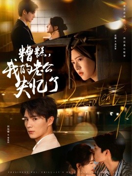 糟糕，我的老公失忆了（80集）刘辰锦＆左馨 (2025)-58创客网