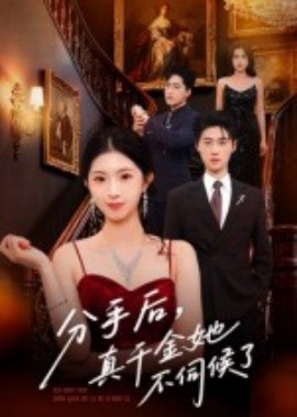 分手后，真千金她不伺候了（67集）肖琳&刘小龙 (2025)-58创客