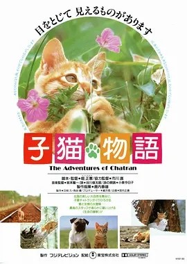 小猫的故事 (1986)丨8.4分丨高分治愈电影推荐 英语中字-58创客