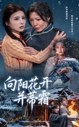 向阳花开并蒂霜（60集）燕颢元&李沁霏 (2025)-58创客