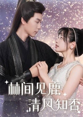 林间见鹿清风知否 (2025)-多米联创