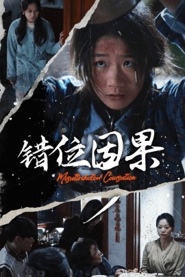 错位因果 (2024)-多米联创