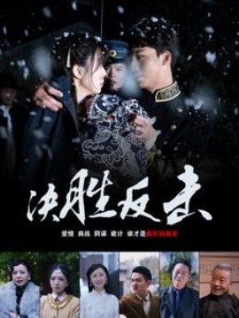 决胜反击 (2024)-多米联创