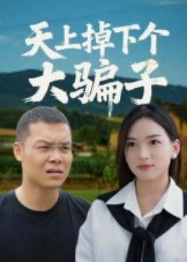 天上掉下个大骗子（32集）张烨 (2025)-多米联创