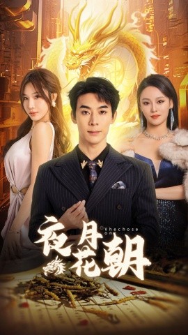夜月花朝 (2025)-多米联创