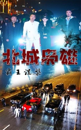 北城枭雄，霸王涅槃 (2024)-多米联创