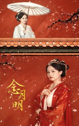 念月明 (2024)-多米联创
