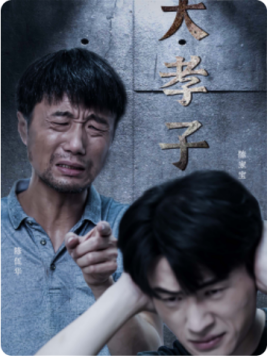 大孝子 (2024)-多米联创