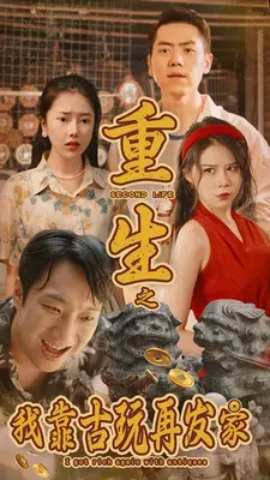 重生之我靠古玩再发家 (2024)-多米联创