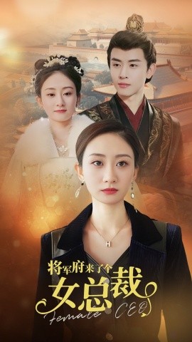 将军府来了个女总裁 (2024)-多米联创