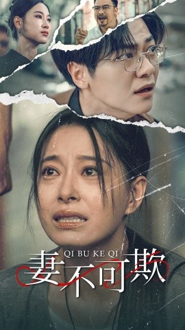 妻不可欺 (2024)-多米联创