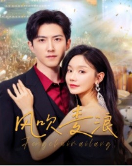 风吹麦浪 (2025)-多米联创