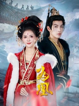 为凰 (2024)-多米联创
