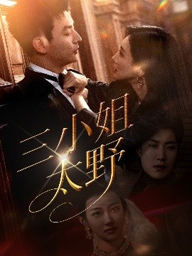 三小姐太野（61集）贾琳&杨建壮 (2025)-多米联创
