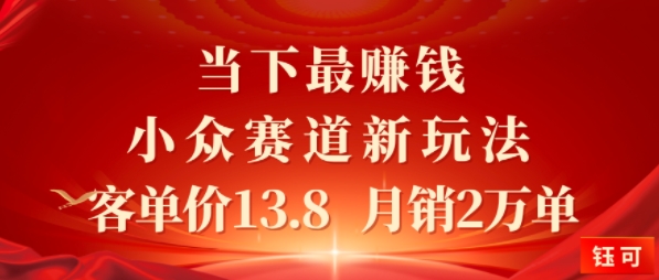 当下最挣钱的小众赛道 小红书新玩法10个作品涨粉3W，客单价13.8 月销2W单-多米联创