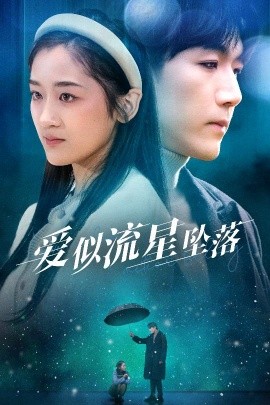 爱似流星坠落 (2025)-多米联创