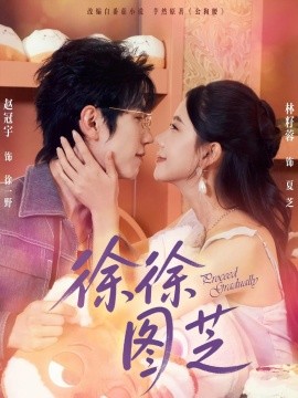 徐徐图芝（75集）赵冠宇＆林籽蓉 (2025)-多米联创