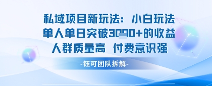 私域项目新玩法小白玩法单人单日突破1k的收益人群质量高付费意识强-多米联创