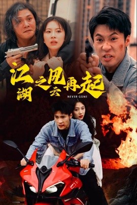 江湖之风云再起 (2024)-多米联创