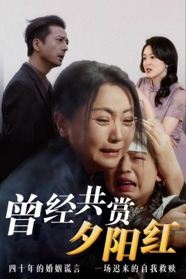 曾经共赏夕阳红（60集）(2025)-多米联创
