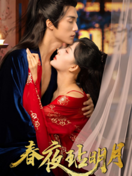 春夜玷明月 (2025)-多米联创