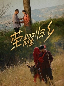 荣耀归乡 (2025)-多米联创
