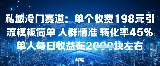 私域冷门赛道：单个收费198米引流模板简单人群精准转化率45%单人每日收益在1k+-多米联创