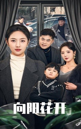 向阳花开&溺爱的代价（40集）李媛菁&李明 (2025)-多米联创