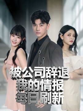 被公司辞退，我的情报每日刷新（80集）(2025)-多米联创
