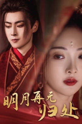明月再无归处 (2024)-多米联创