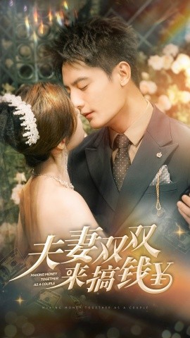 夫妻双双搞钱 (2024)-多米联创