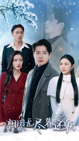 相思无尽暮还朝 (2025)-多米联创