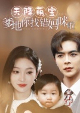 天降萌宝爹地你找错妈咪啦（19集）温宇&陈辞 (2025)-多米联创