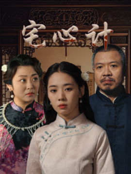 宅心计 (2025)-多米联创