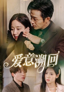 爱意溯回 (2025)-多米联创
