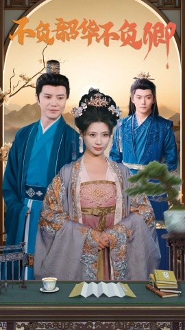 不负韶华不负卿 (2025)-多米联创