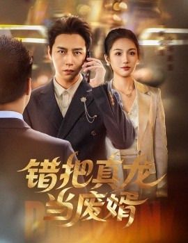 错把真龙当废婿（60集）孙雪阳&舒萱 (2025)-多米联创