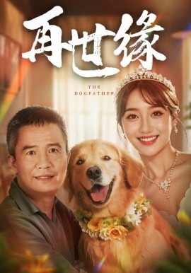 再世缘 (2024)-多米联创