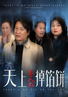 天上不会掉馅饼 (2025)-多米联创