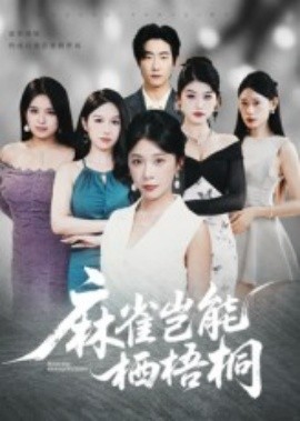 麻雀岂能栖梧桐（31集）(2025)-多米联创