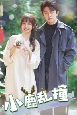 小鹿乱撞（40集）(2025)-多米联创