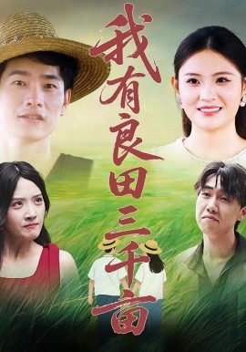 我有良田三千亩（80集）(2025)-多米联创