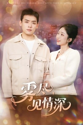 雾尽，见情深（41集）赵琪&李源 (2025)-多米联创
