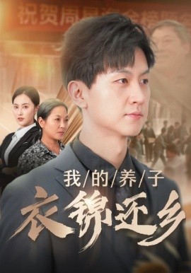 我的养子衣锦还乡 (2024)-多米联创