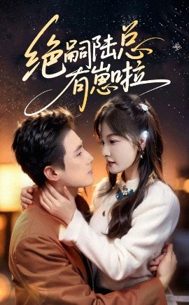 绝嗣陆总有崽啦（60集）岑明&朱馨玉 (2025)-多米联创
