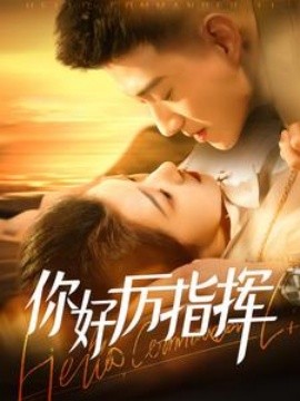 你好厉指挥 (2024)-多米联创