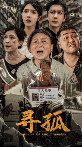 寻孤 (2024)-多米联创
