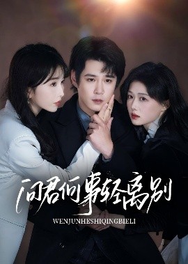 问君何事轻离别（30集）郝顺&程七月 (2025)-多米联创