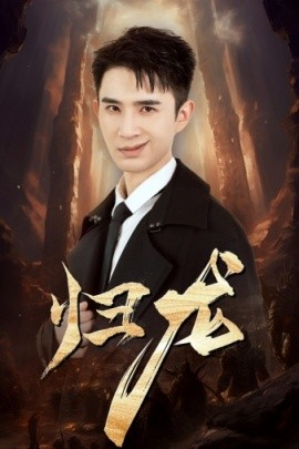 归龙 (2024)-多米联创