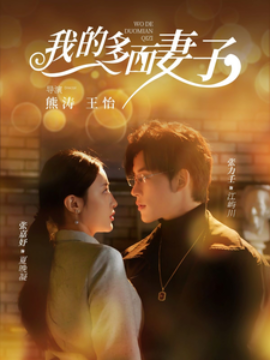 我的多面妻子 (2025)-多米联创